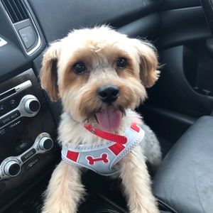 Meet your Posher, Ssharon